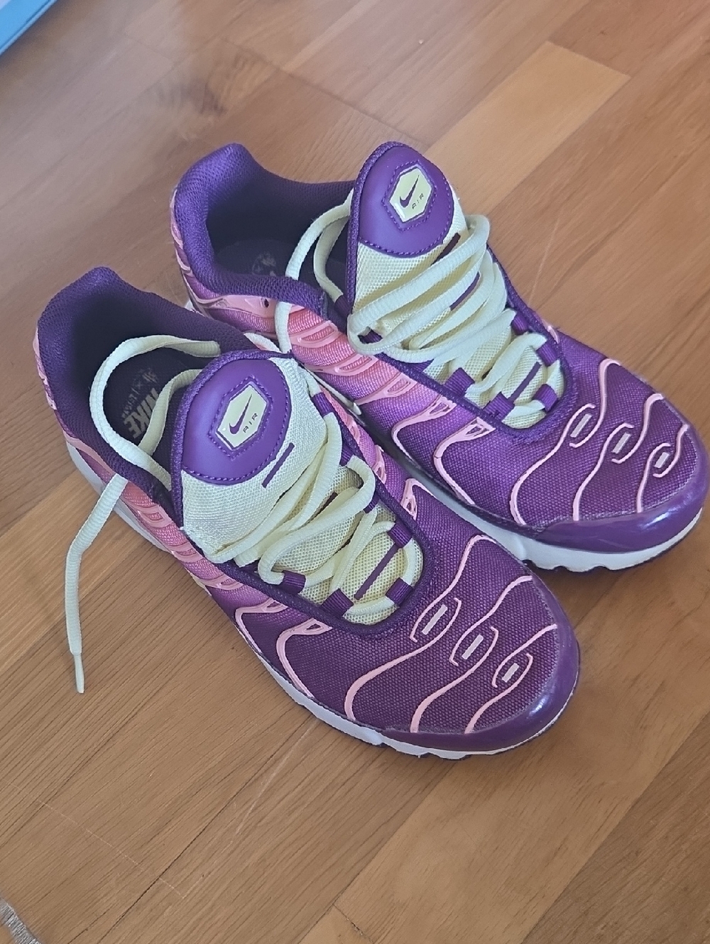 Nike AIR MAX Plus TN Purple and Pink Gradient Sneakers